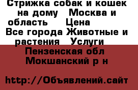 Стрижка собак и кошек на дому.  Москва и область.  › Цена ­ 1 200 - Все города Животные и растения » Услуги   . Пензенская обл.,Мокшанский р-н